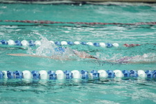 Enlarge photo 90