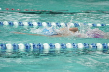 Enlarge photo 91