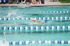 Enlarge photo 108