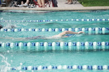 Enlarge photo 109