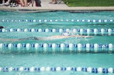 Enlarge photo 110