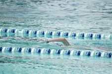 Enlarge photo 115