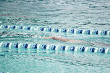 Enlarge photo 116