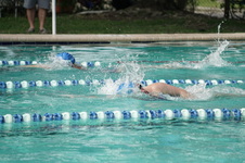 Enlarge photo 148