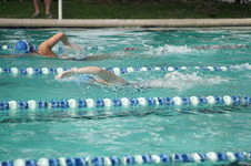 Enlarge photo 150