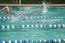 Enlarge photo 152