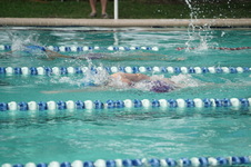 Enlarge photo 151