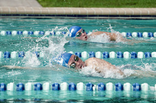 Enlarge photo 153