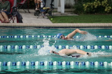 Enlarge photo 154