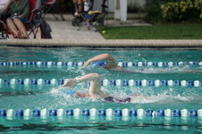 Enlarge photo 155