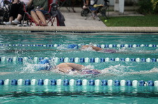Enlarge photo 158