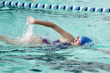 Enlarge photo 157