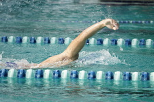 Enlarge photo 185