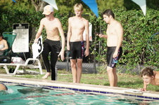 Enlarge photo 195