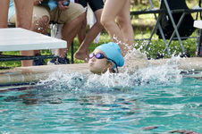 Enlarge photo 210