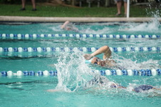 Enlarge photo 211