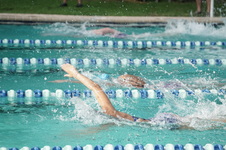 Enlarge photo 214