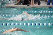 Enlarge photo 217