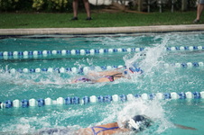 Enlarge photo 220