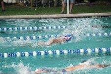 Enlarge photo 224