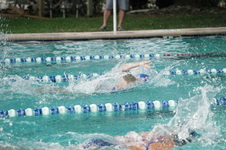 Enlarge photo 223