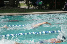 Enlarge photo 225