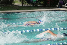 Enlarge photo 226