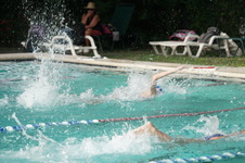 Enlarge photo 227