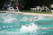 Enlarge photo 229