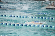 Enlarge photo 233
