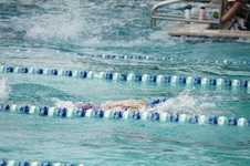Enlarge photo 234