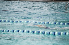 Enlarge photo 237