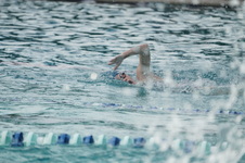 Enlarge photo 240