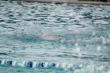 Enlarge photo 241