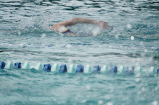 Enlarge photo 242