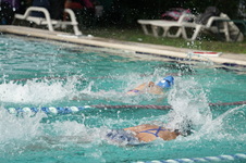 Enlarge photo 244