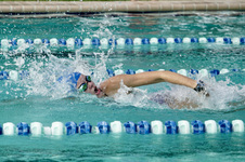 Enlarge photo 245