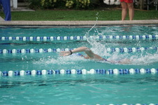 Enlarge photo 246