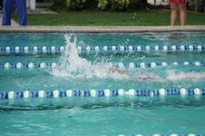 Enlarge photo 247