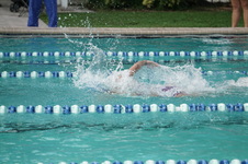 Enlarge photo 248