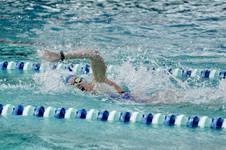 Enlarge photo 249