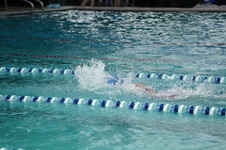 Enlarge photo 251