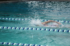 Enlarge photo 253