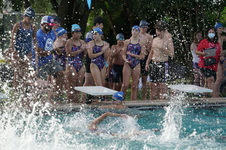 Enlarge photo 254