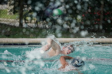 Enlarge photo 281