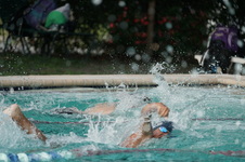 Enlarge photo 283