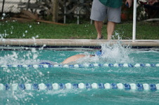 Enlarge photo 286
