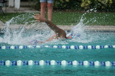 Enlarge photo 289