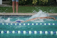 Enlarge photo 290
