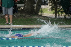 Enlarge photo 293